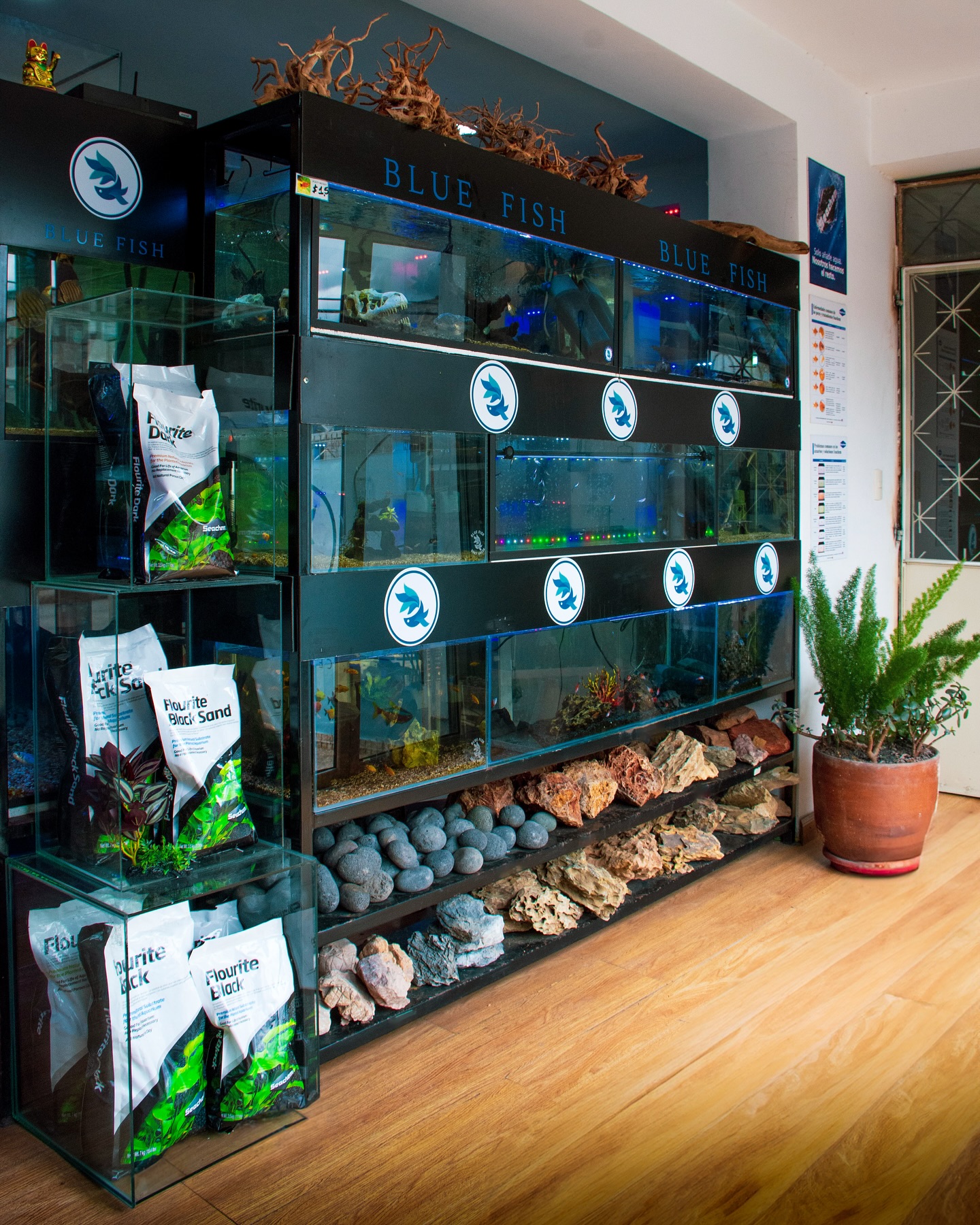 Tienda Centro