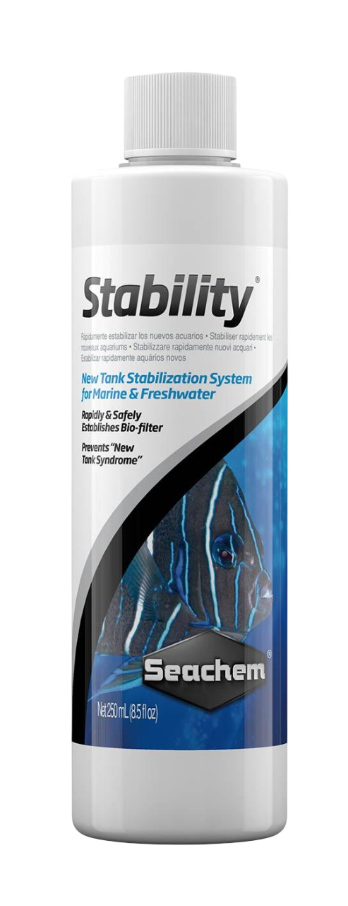 Stability